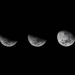 Moon系のフォーセットについて